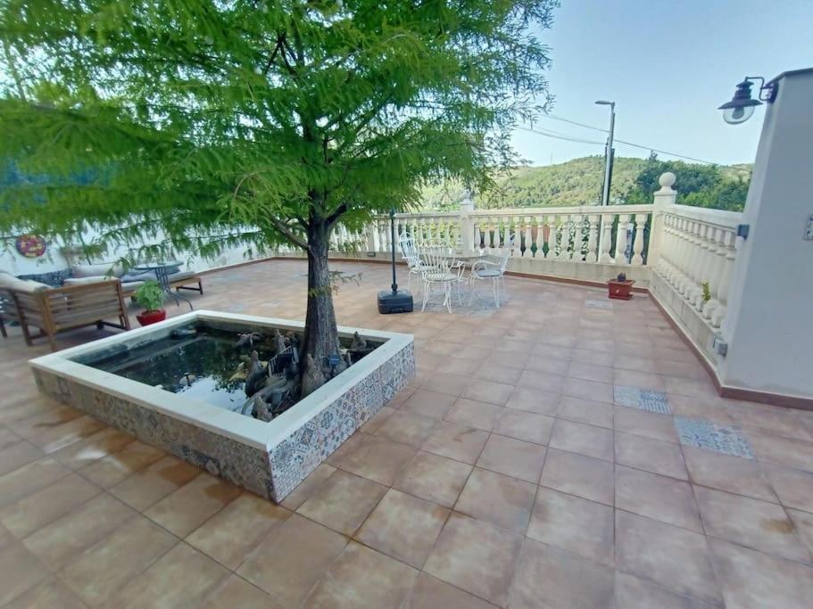 Villa Falconera Apartaments, Gandia A Las Faldas De La Montana エクステリア 写真