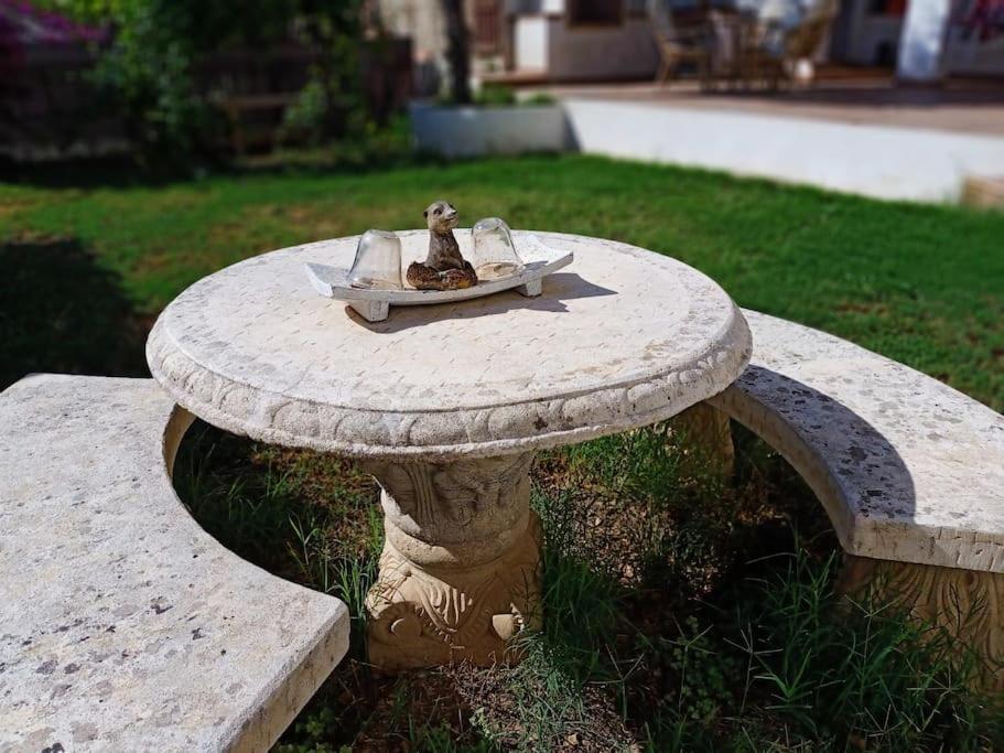 Villa Falconera Apartaments, Gandia A Las Faldas De La Montana エクステリア 写真