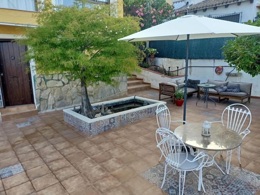 Villa Falconera Apartaments, Gandia A Las Faldas De La Montana エクステリア 写真
