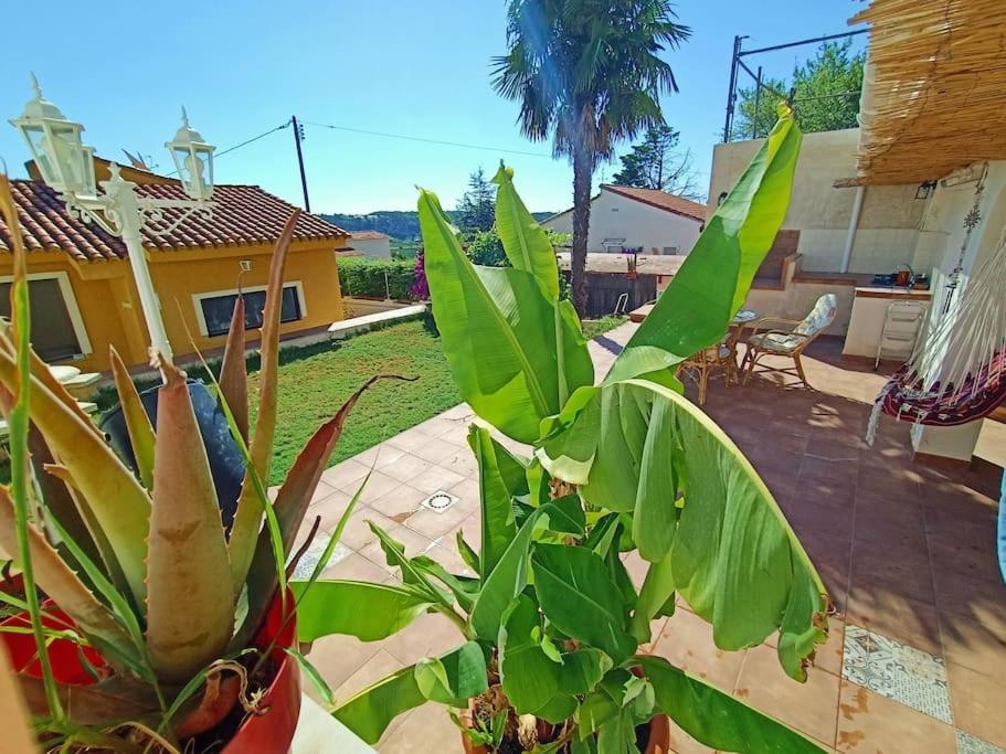 Villa Falconera Apartaments, Gandia A Las Faldas De La Montana エクステリア 写真