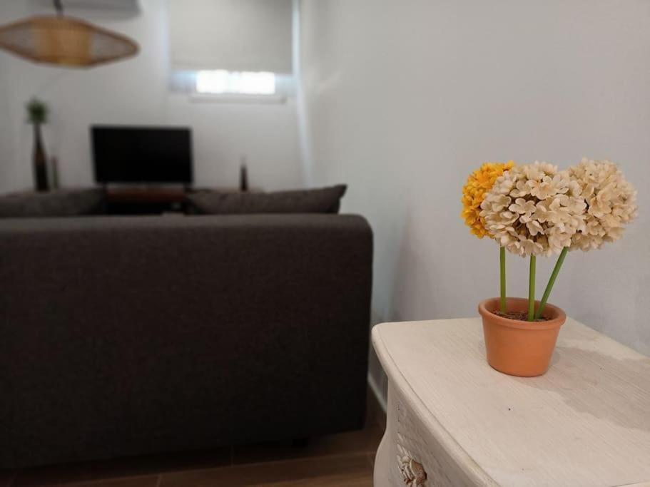Villa Falconera Apartaments, Gandia A Las Faldas De La Montana エクステリア 写真